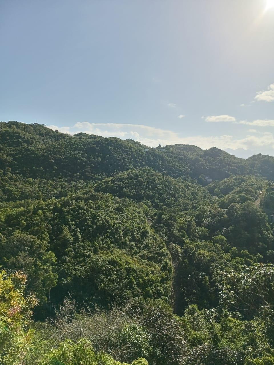 Third image of 8e Coopers Hill Heights in Red Hills, St. Andrew, Jamaica - property is For Sale