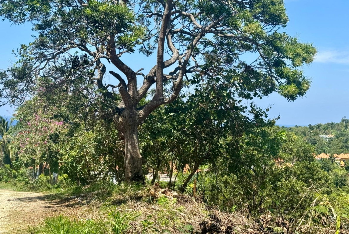First image of Wooside Dr, Coral Gardens in Montego Bay, St. James, Jamaica - property is For Sale