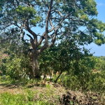 First image of Wooside Dr, Coral Gardens in Montego Bay, St. James, Jamaica - property is For Sale