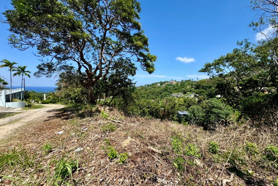 Third image of Wooside Dr, Coral Gardens in Montego Bay, St. James, Jamaica - property is For Sale