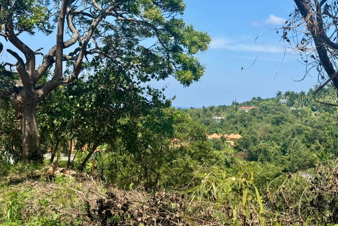 Fourth image of Wooside Dr, Coral Gardens in Montego Bay, St. James, Jamaica - property is For Sale