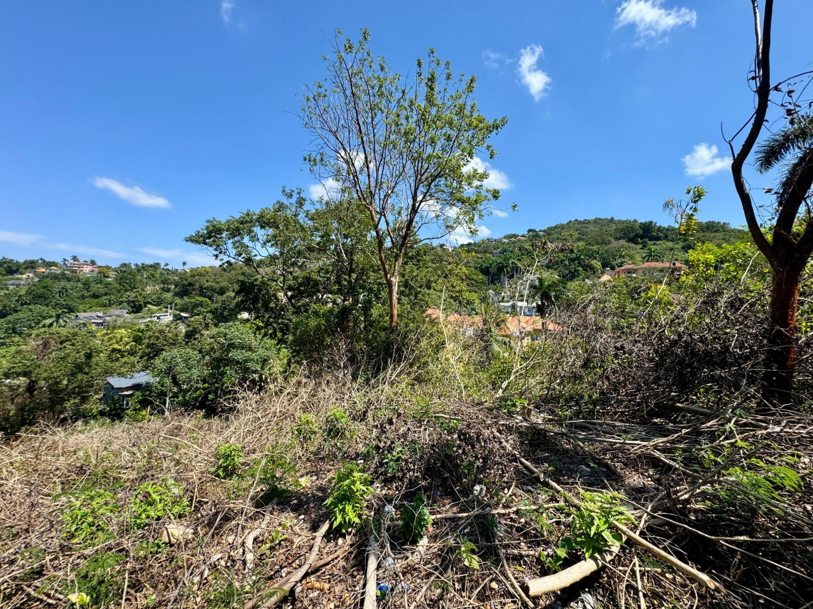 Fifth image of Wooside Dr, Coral Gardens in Montego Bay, St. James, Jamaica - property is For Sale