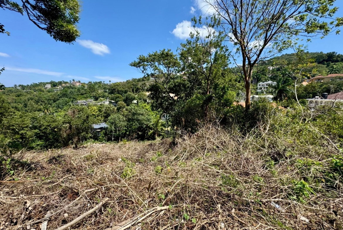 Sixth image of Wooside Dr, Coral Gardens in Montego Bay, St. James, Jamaica - property is For Sale