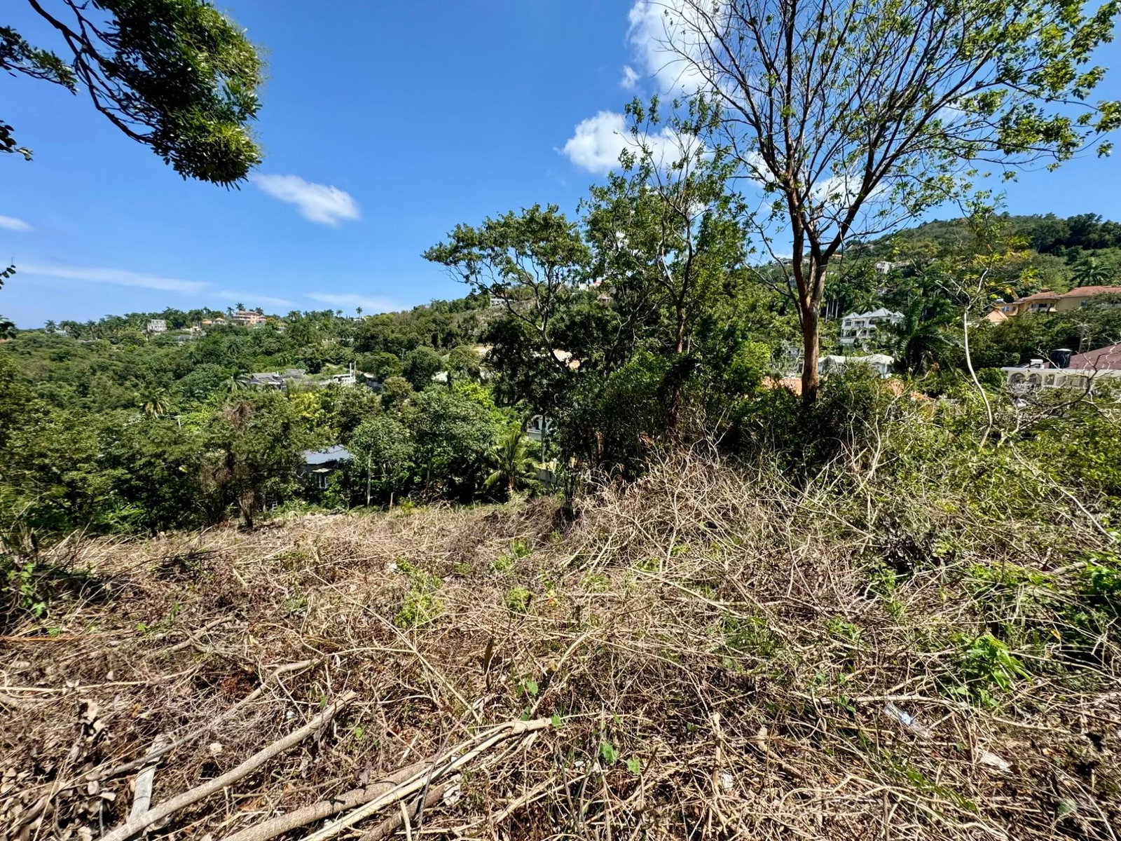 Sixth image of Wooside Dr, Coral Gardens in Montego Bay, St. James, Jamaica - property is For Sale
