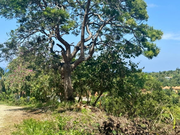 First image of Wooside Dr, Coral Gardens in Montego Bay, St. James, Jamaica - property is For Sale