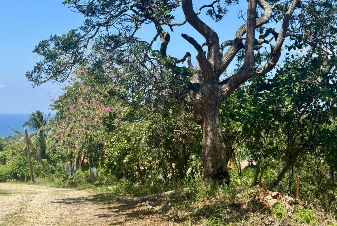 Seventh image of Wooside Dr, Coral Gardens in Montego Bay, St. James, Jamaica - property is For Sale