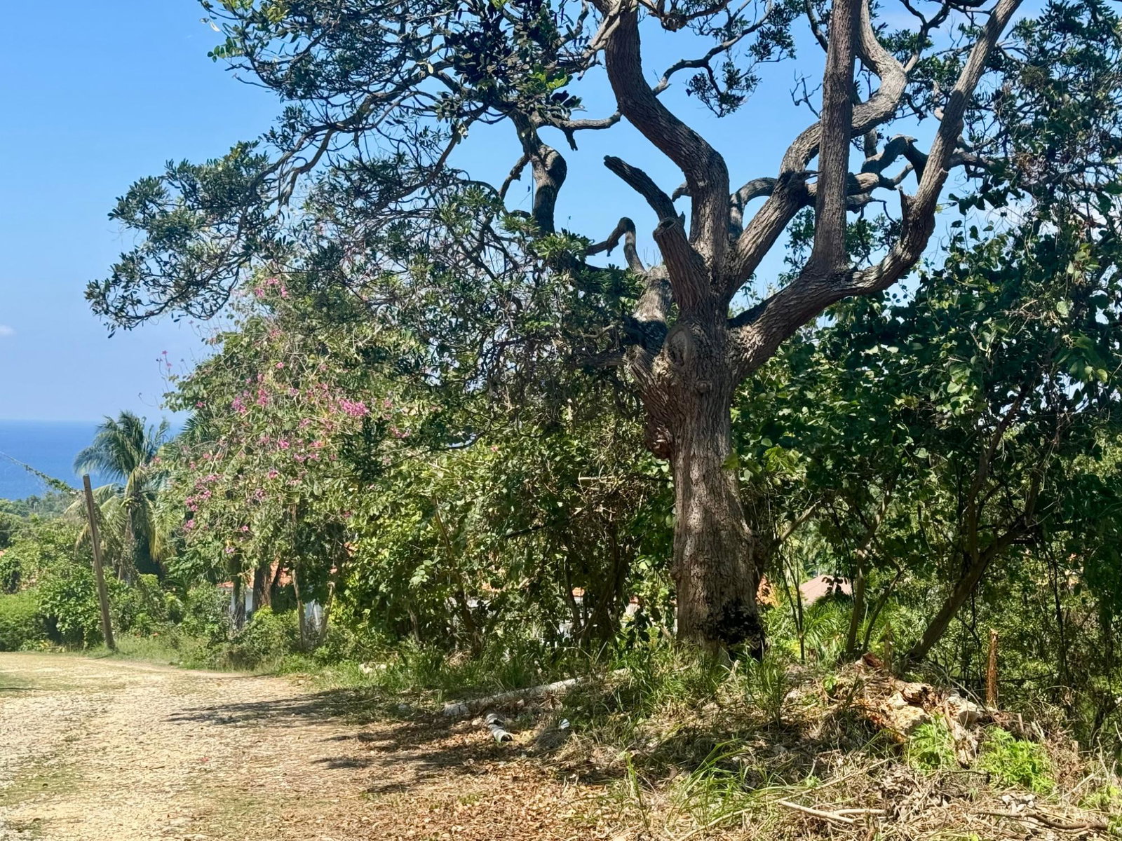 Seventh image of Wooside Dr, Coral Gardens in Montego Bay, St. James, Jamaica - property is For Sale