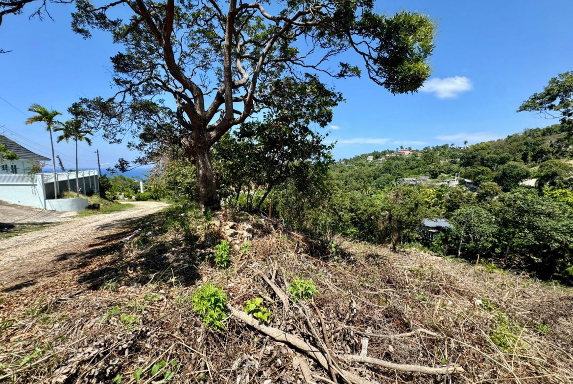 Eighth image of Wooside Dr, Coral Gardens in Montego Bay, St. James, Jamaica - property is For Sale