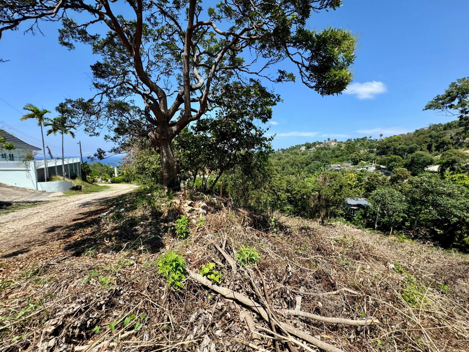 Eighth image of Wooside Dr, Coral Gardens in Montego Bay, St. James, Jamaica - property is For Sale