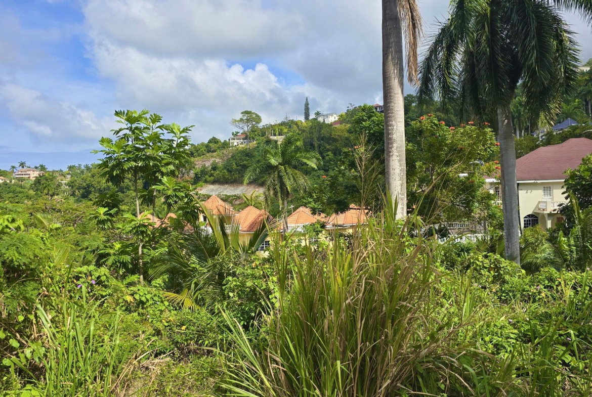 Ninth image of Wooside Dr, Coral Gardens in Montego Bay, St. James, Jamaica - property is For Sale