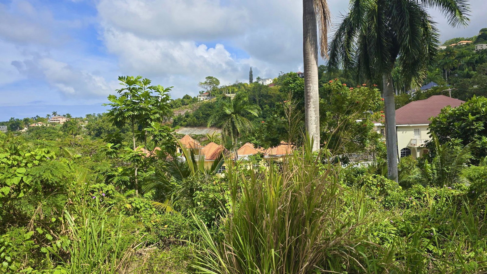 Ninth image of Wooside Dr, Coral Gardens in Montego Bay, St. James, Jamaica - property is For Sale