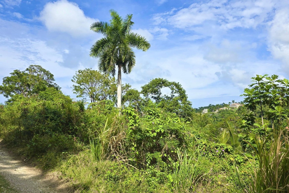 Tenth image of Wooside Dr, Coral Gardens in Montego Bay, St. James, Jamaica - property is For Sale