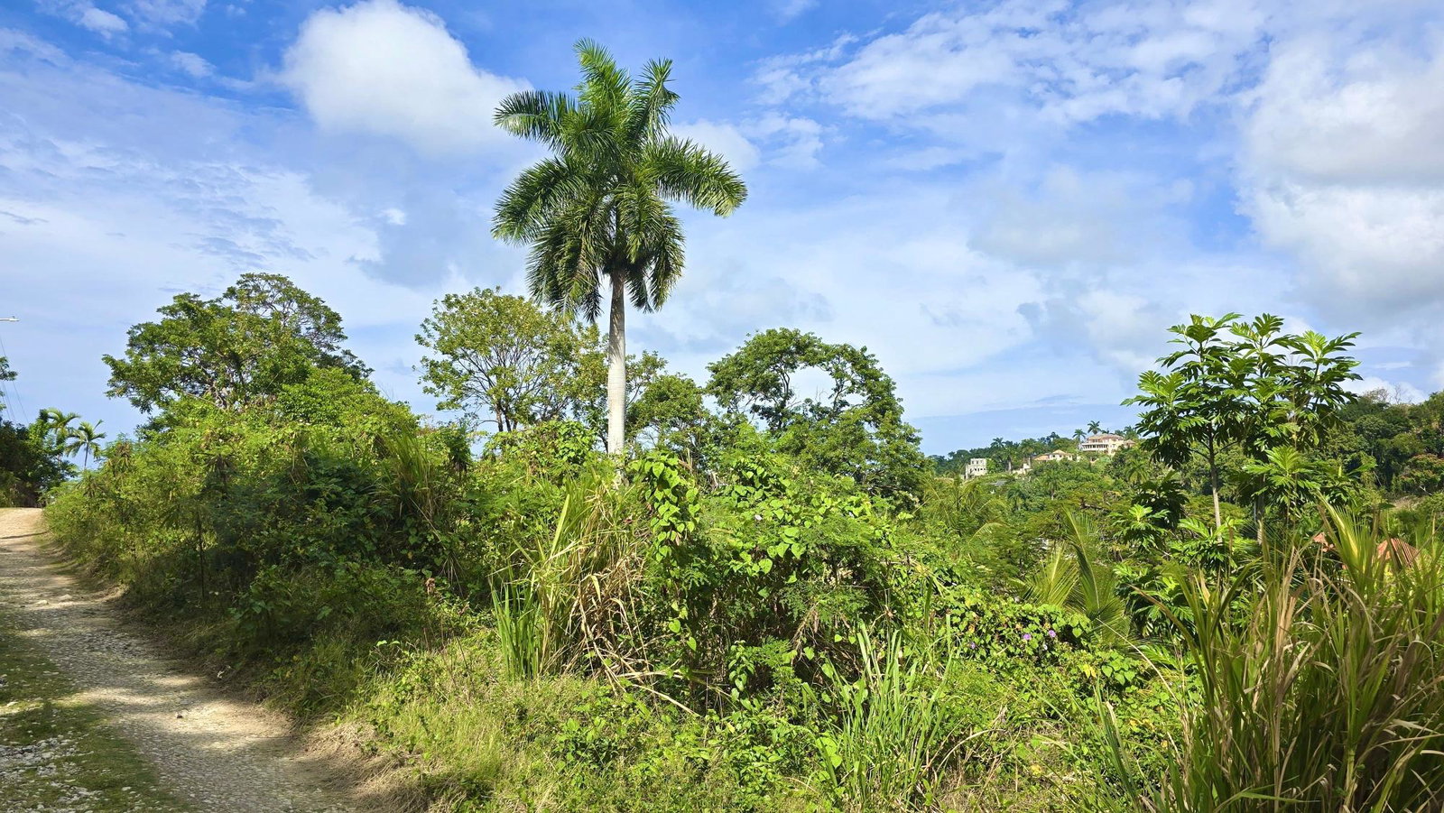 Tenth image of Wooside Dr, Coral Gardens in Montego Bay, St. James, Jamaica - property is For Sale