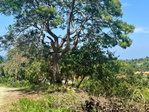 First image of Wooside Dr, Coral Gardens in Montego Bay, St. James, Jamaica - property is For Sale