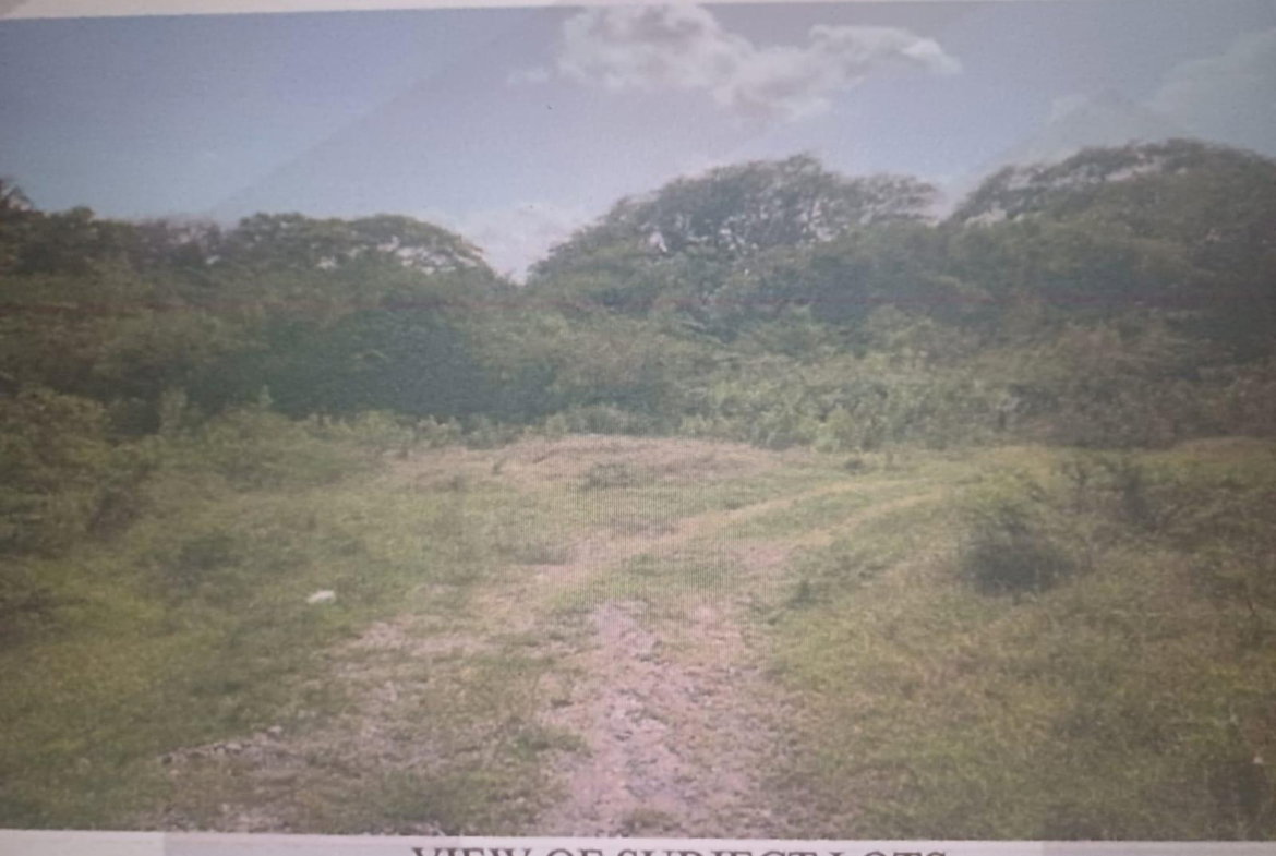 Second image of Cornpiece, Hayes, Clarend in Hayes Cornpiece, Clarendon, Jamaica - property is For Sale
