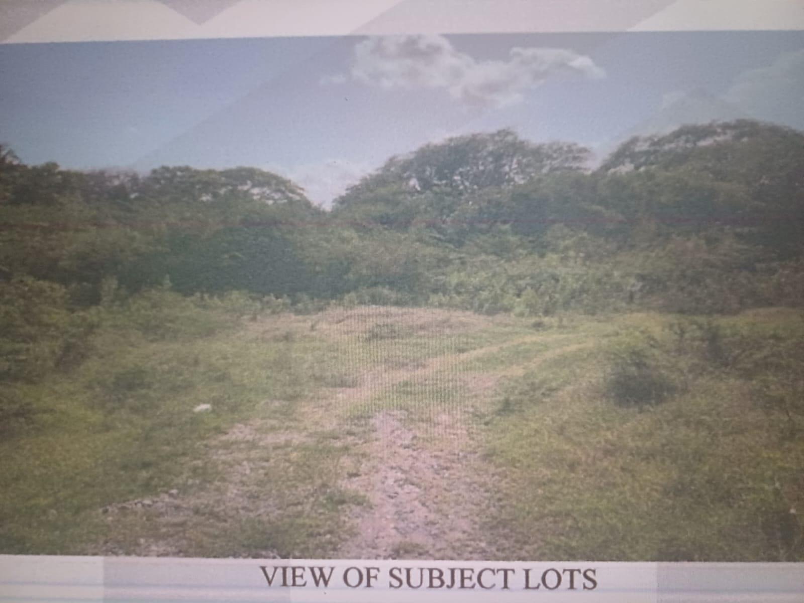 Residential-Lot-for-Sale-in-Cornpiece-Hayes-Clarendon-Jamaica Second image of Cornpiece, Hayes, Clarend in Hayes Cornpiece, Clarendon, Jamaica - property is For Sale