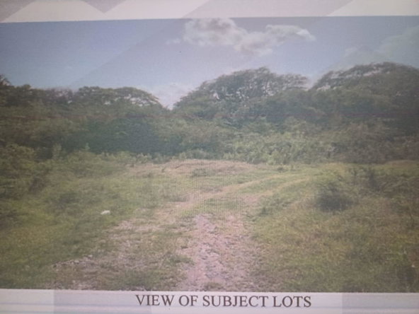 Second image of Cornpiece, Hayes, Clarend in Hayes Cornpiece, Clarendon, Jamaica - property is For Sale