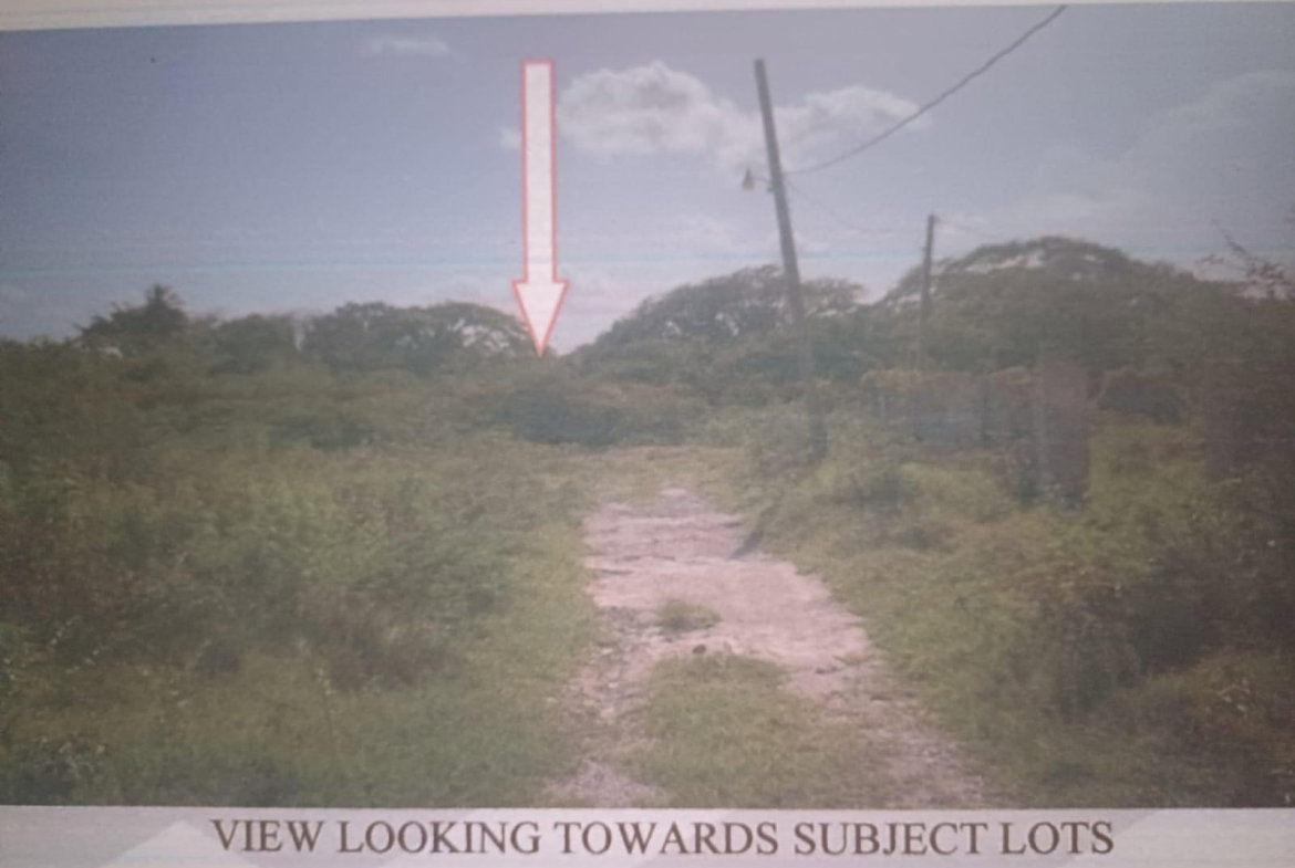 Third image of Cornpiece, Hayes, Clarend in Hayes Cornpiece, Clarendon, Jamaica - property is For Sale