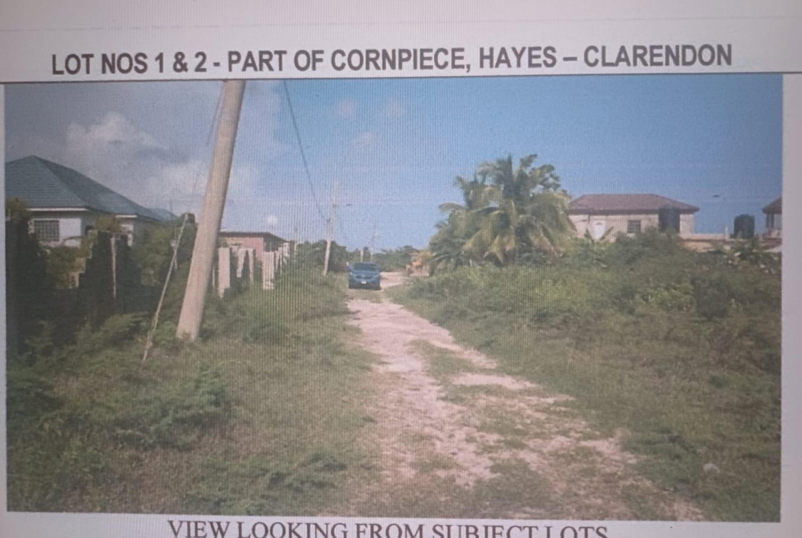 Fourth image of Cornpiece, Hayes, Clarend in Hayes Cornpiece, Clarendon, Jamaica - property is For Sale