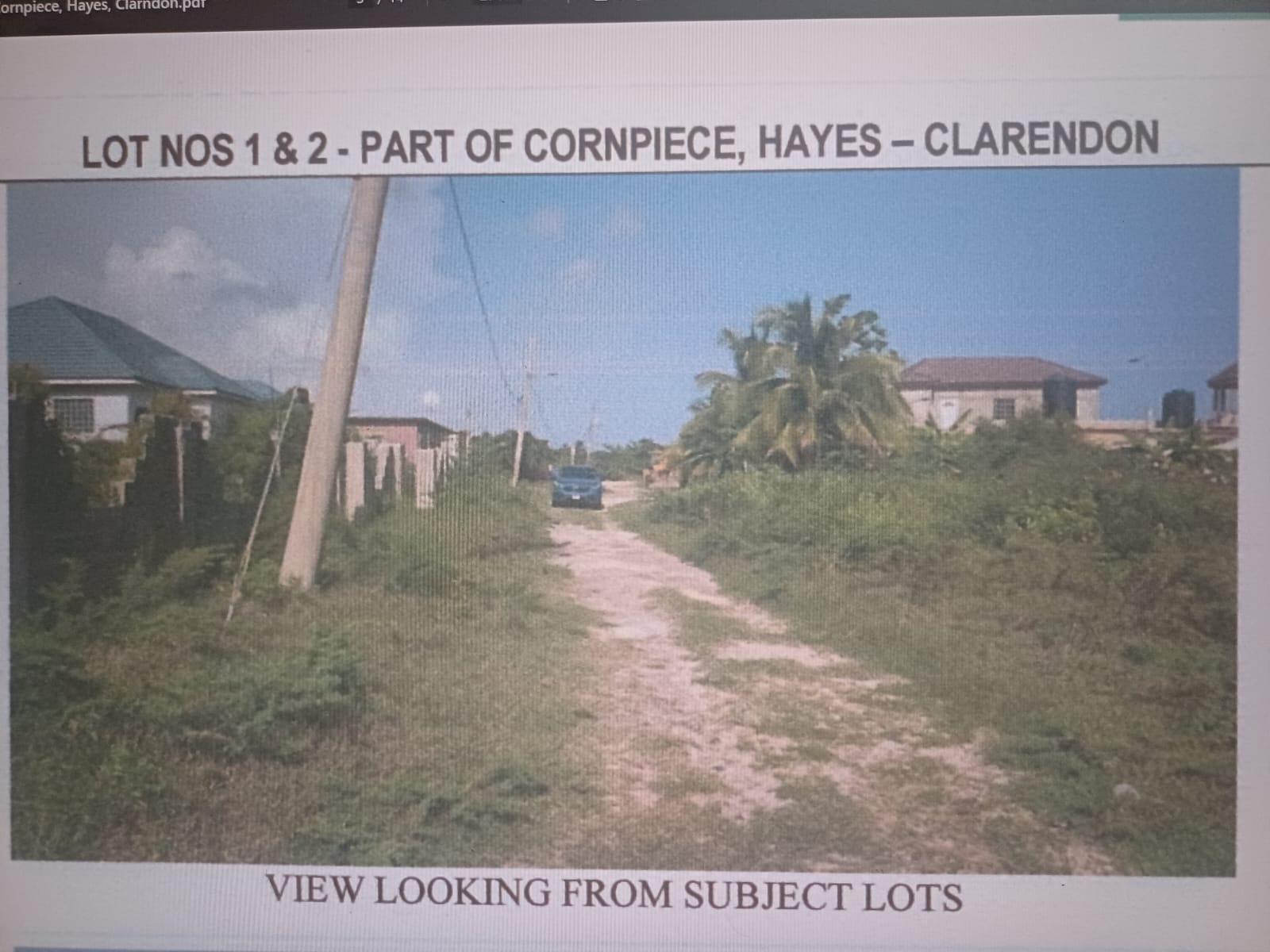 Residential-Lot-for-Sale-in-Cornpiece-Hayes-Clarendon-Jamaica Fourth image of Cornpiece, Hayes, Clarend in Hayes Cornpiece, Clarendon, Jamaica - property is For Sale
