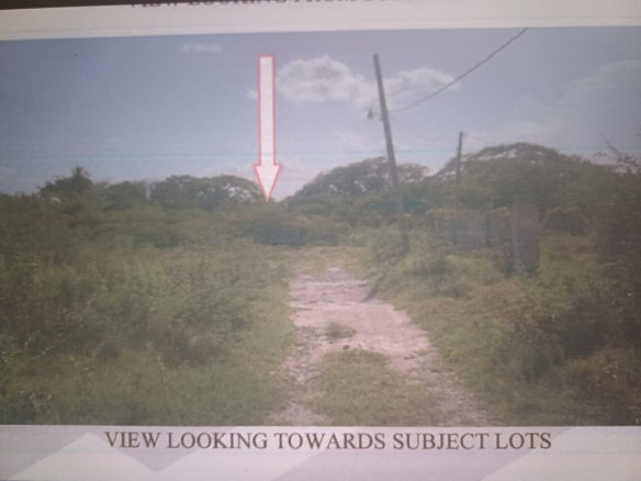 First image of Cornpiece, Hayes, Clarend in Hayes Cornpiece, Clarendon, Jamaica - property is For Sale