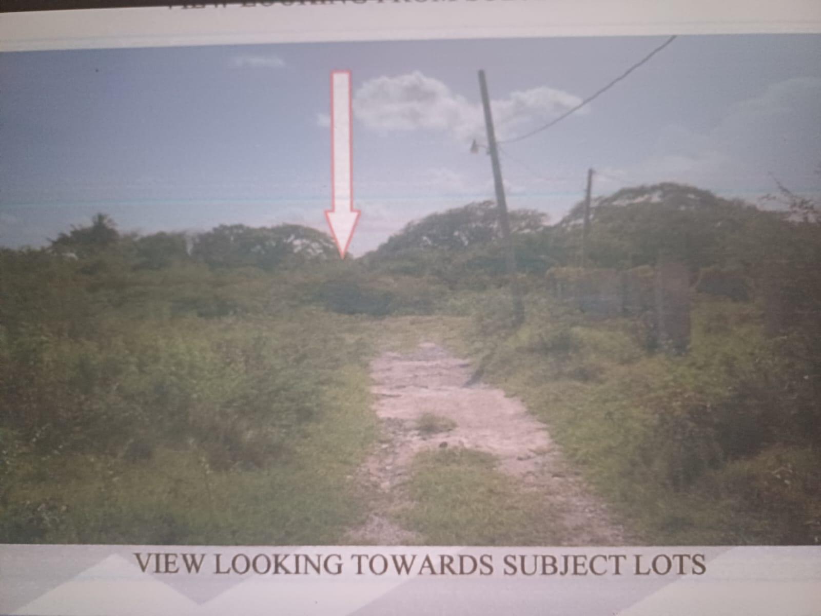 Residential-Lot-for-Sale-in-Cornpiece-Hayes-Clarendon-Jamaica First image of Cornpiece, Hayes, Clarend in Hayes Cornpiece, Clarendon, Jamaica - property is For Sale