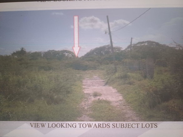 First image of Cornpiece, Hayes, Clarend in Hayes Cornpiece, Clarendon, Jamaica - property is For Sale
