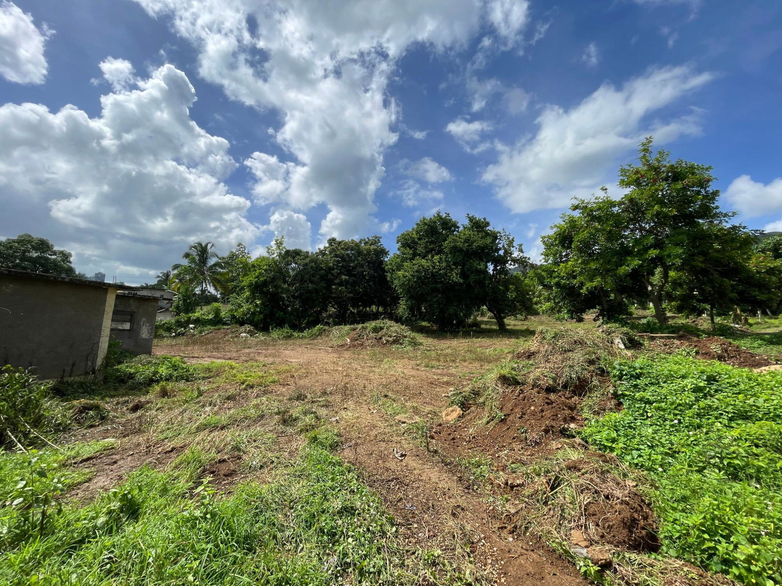 Sixth image of Ewarton in Ewarton, St. Catherine, Jamaica - property is For Sale