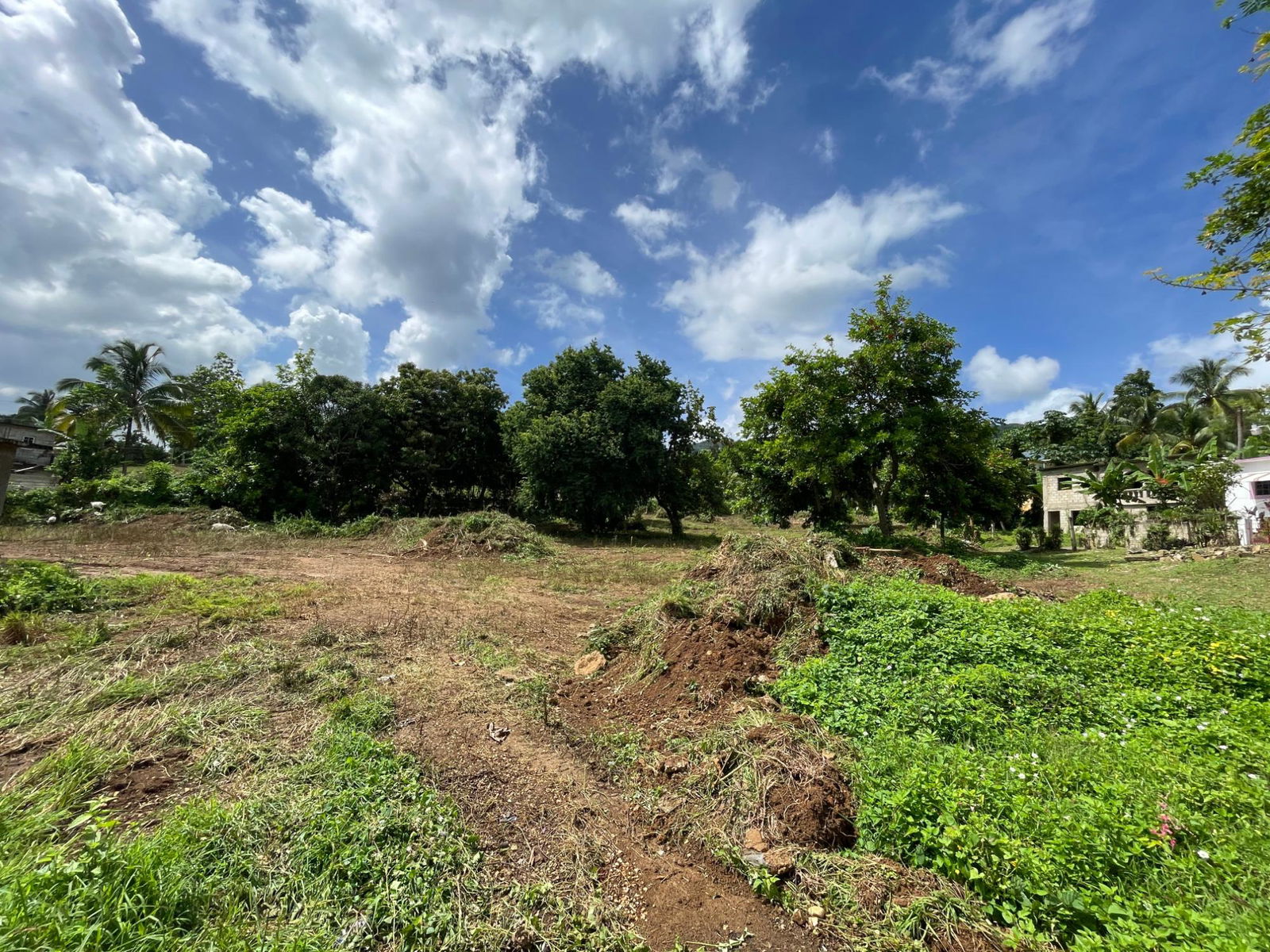 Seventh image of Ewarton in Ewarton, St. Catherine, Jamaica - property is For Sale