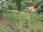 First image of Green Hill, Alexandria, s in Alexandria, St. Ann, Jamaica - property is For Sale