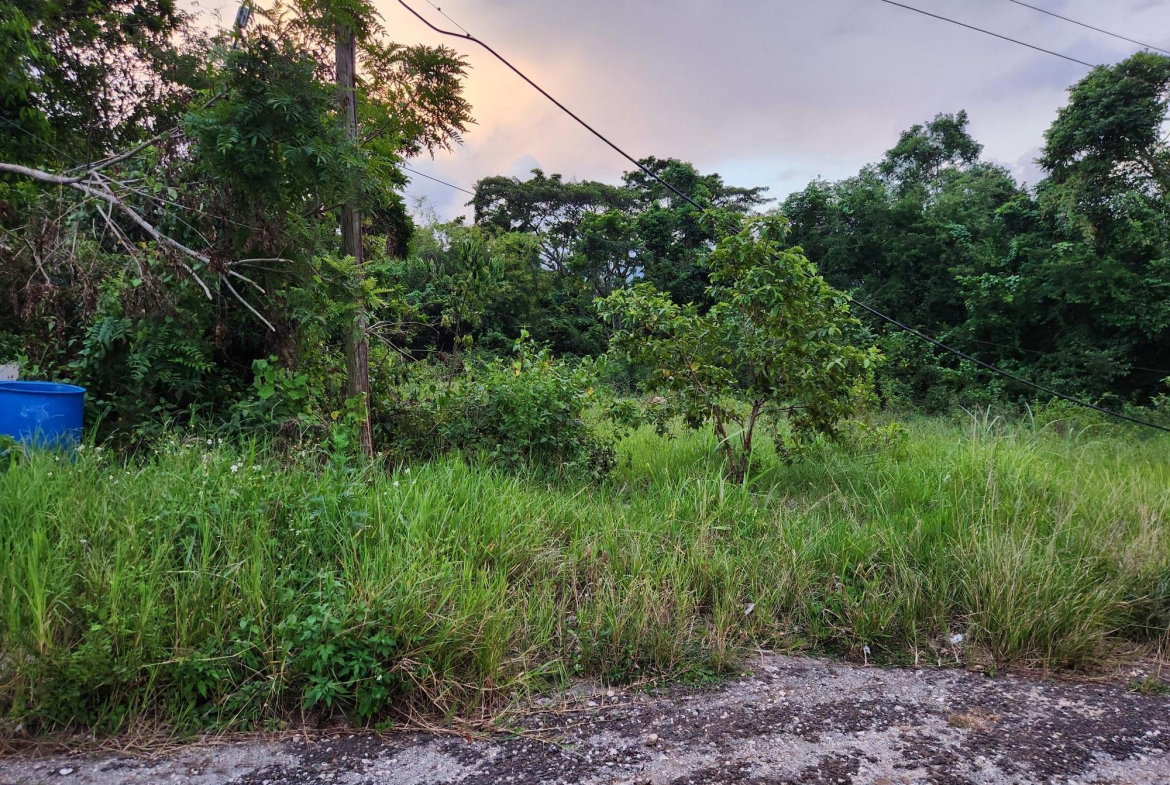 Fifth image of 22 Ciboney Drive in Mandeville, Manchester, Jamaica - property is For Sale