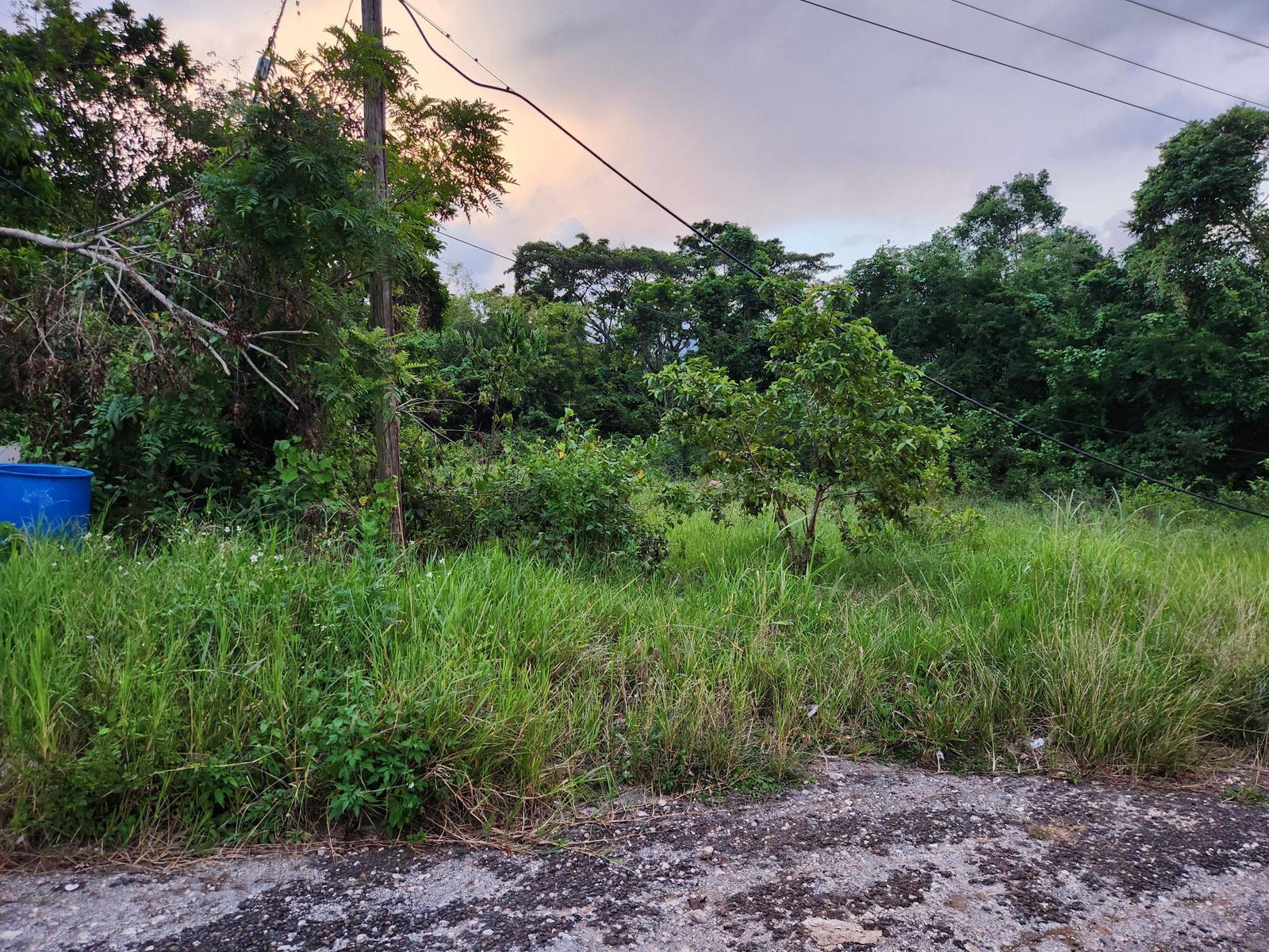 Residential-Lot-for-Sale-in-Hanbury-Manchester-Jamaica-–-13-Acre-Corner-Lot Fifth image of 22 Ciboney Drive in Mandeville, Manchester, Jamaica - property is For Sale