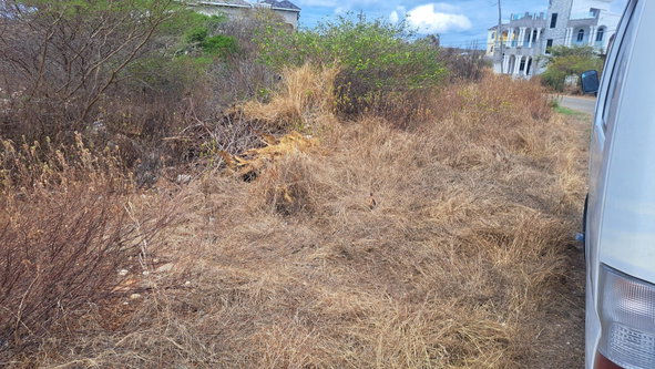 Fifth image of Sandhills, Sandhills Circ in HELLSHIRE HILLS, St. Catherine, Jamaica - property is For Sale