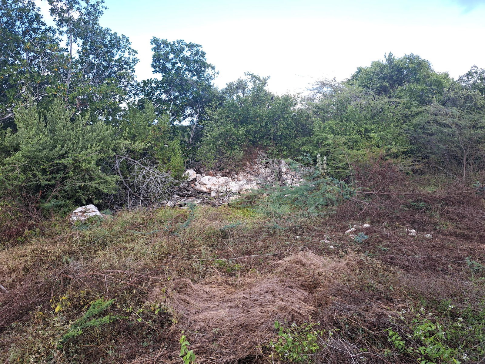 Third image of 176 Great Pond Close in HELLSHIRE HILLS, St. Catherine, Jamaica - property is For Sale