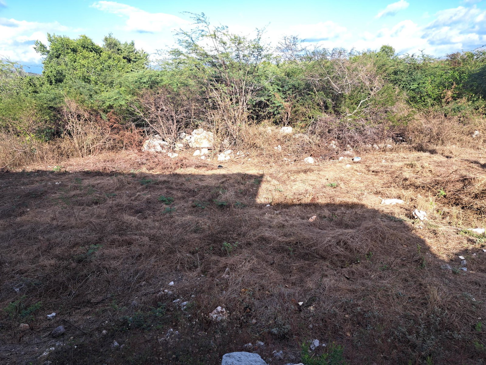 Fourth image of 176 Great Pond Close in HELLSHIRE HILLS, St. Catherine, Jamaica - property is For Sale
