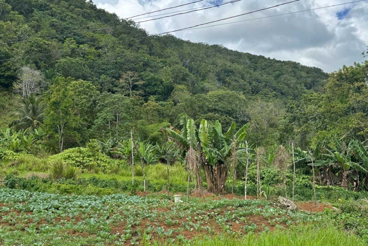 Second image of Lot 1- Holland, St. Catherine in James Mountain, St. Catherine, Jamaica - property is For Sale
