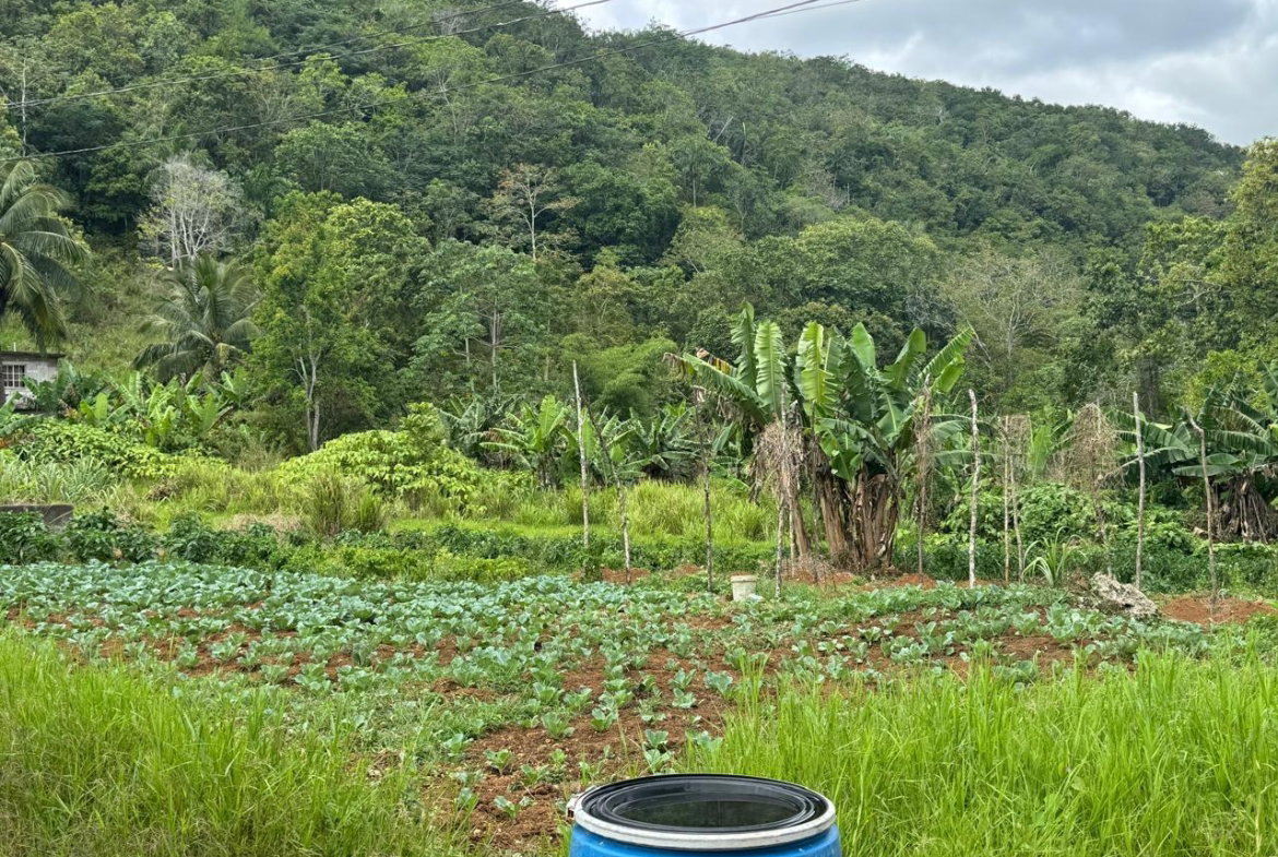 First image of Lot 1- Holland, St. Catherine in James Mountain, St. Catherine, Jamaica - property is For Sale