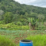 First image of Lot 1- Holland, St. Catherine in James Mountain, St. Catherine, Jamaica - property is For Sale