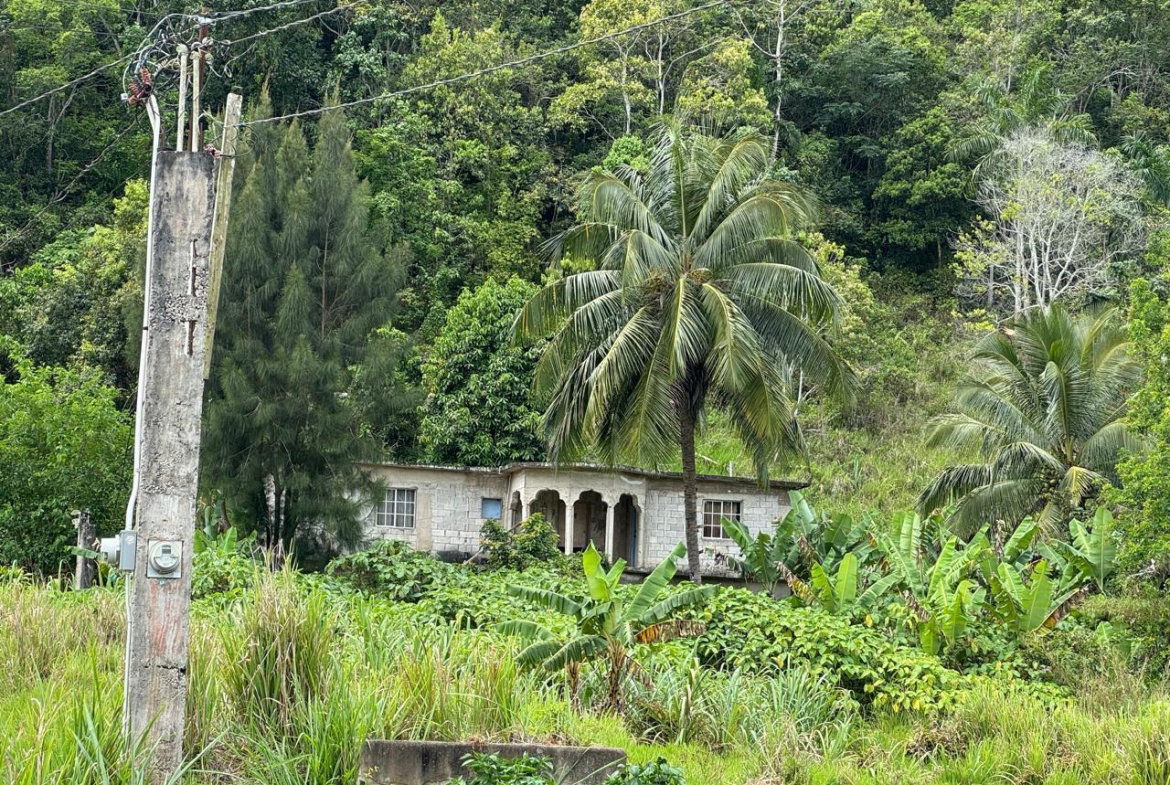 Third image of Lot 1- Holland, St. Catherine in James Mountain, St. Catherine, Jamaica - property is For Sale