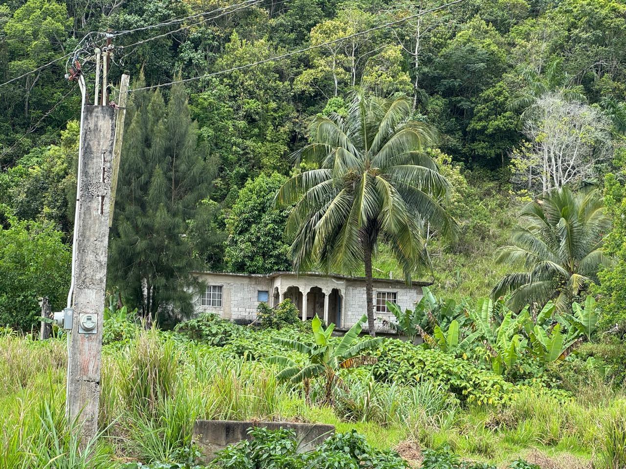 Third image of Lot 1- Holland, St. Catherine in James Mountain, St. Catherine, Jamaica - property is For Sale