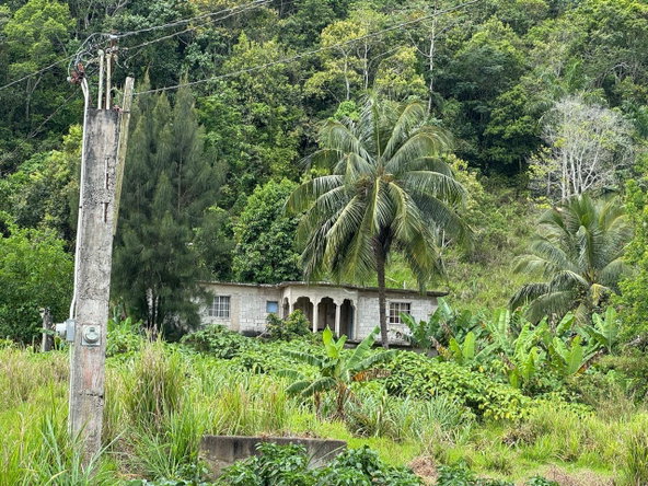 Third image of Lot 1- Holland, St. Catherine in James Mountain, St. Catherine, Jamaica - property is For Sale