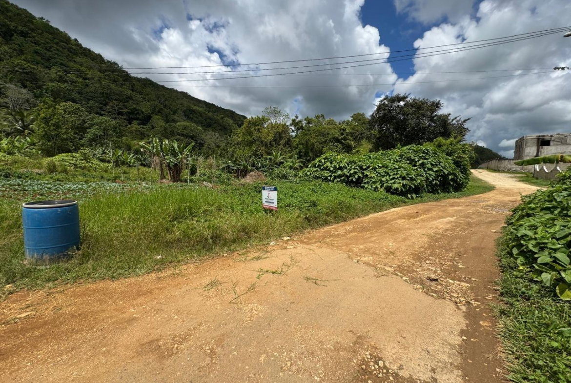 Fifth image of Lot 1- Holland, St. Catherine in James Mountain, St. Catherine, Jamaica - property is For Sale