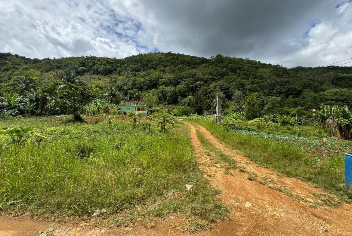 Sixth image of Lot 1- Holland, St. Catherine in James Mountain, St. Catherine, Jamaica - property is For Sale