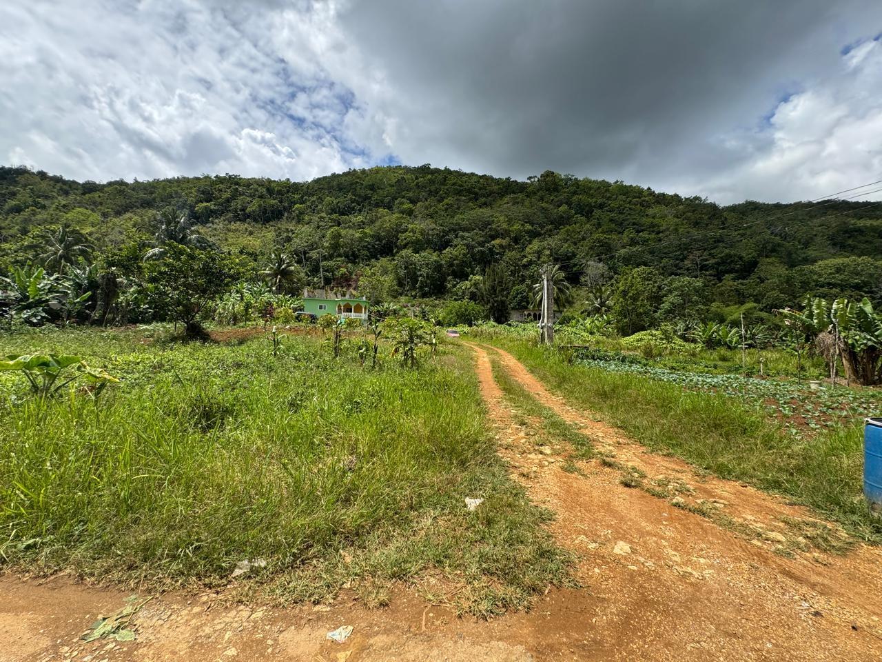 Sixth image of Lot 1- Holland, St. Catherine in James Mountain, St. Catherine, Jamaica - property is For Sale