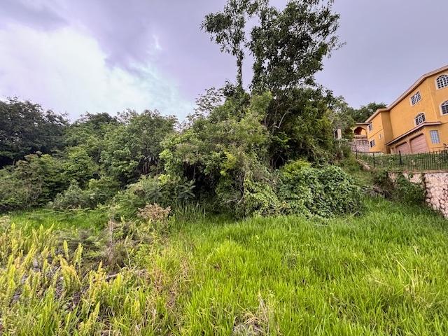 Second image of Lot 21 Hopewell Christiana P.o., in Christiana, Manchester, Jamaica - property is For Sale