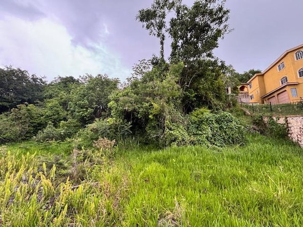 Second image of Lot 21 Hopewell Christiana P.o., in Christiana, Manchester, Jamaica - property is For Sale