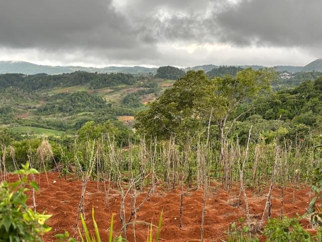 Third image of Lot 21 Hopewell Christiana P.o., in Christiana, Manchester, Jamaica - property is For Sale