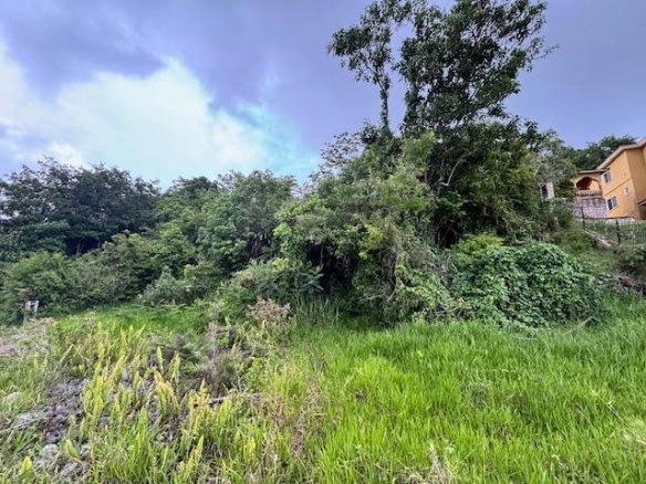 First image of Lot 21 Hopewell Christiana P.o., in Christiana, Manchester, Jamaica - property is For Sale