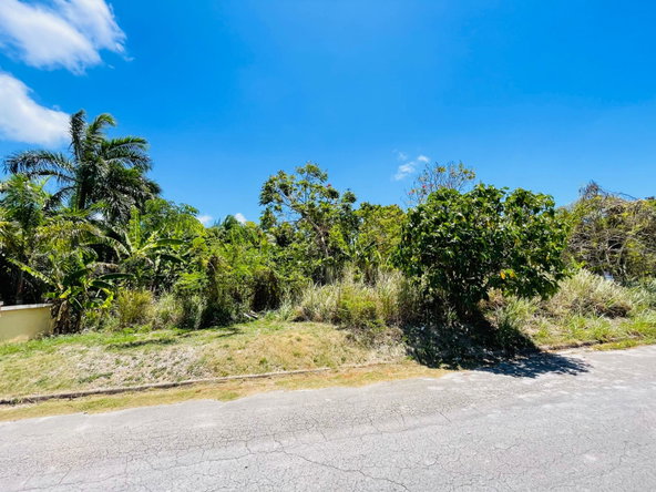 Fourth image of Ironshore Montego Bay in Ironshore, St. James, Jamaica - property is For Sale