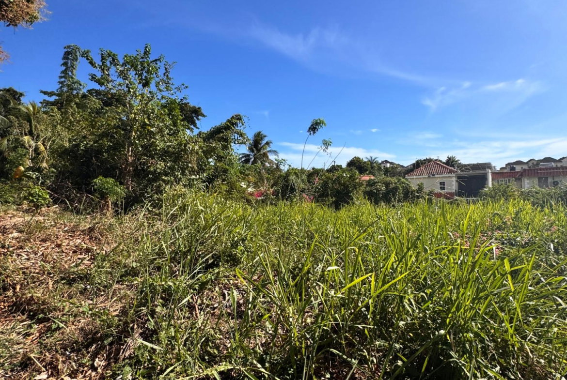 Twelfth image of 15 Farringdon Drive in Kingston 6, St. Andrew, Jamaica - property is For Sale